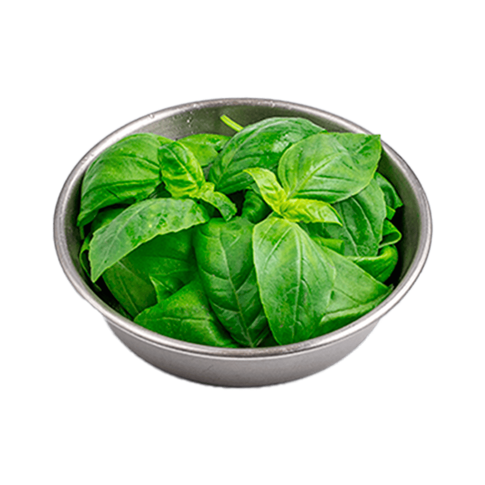 Базилик (топпинг 10 гр)