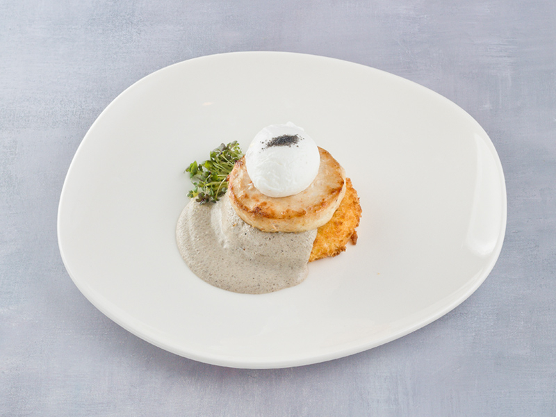 dish photo