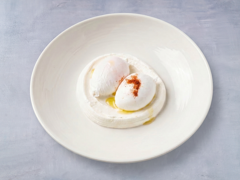 dish photo