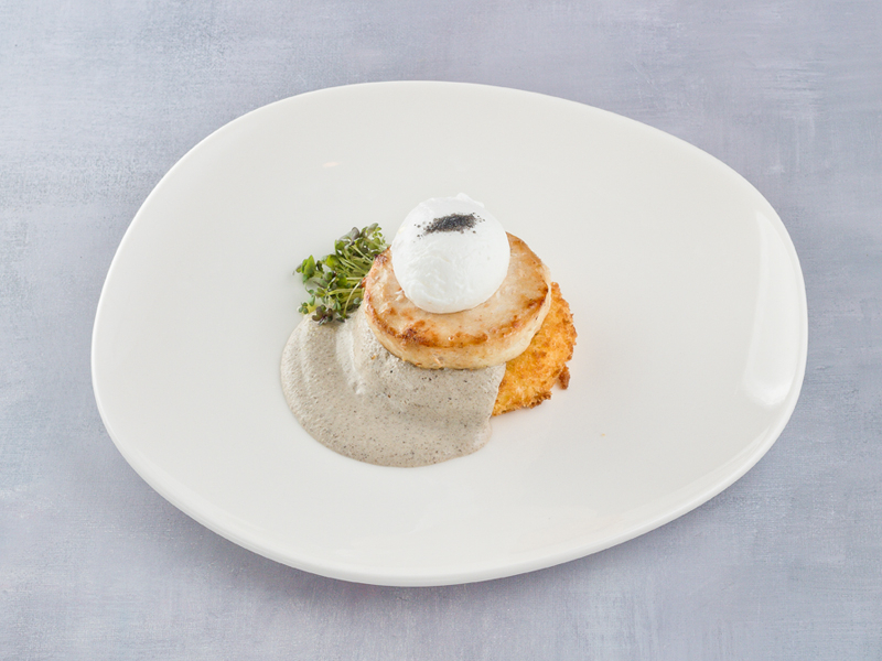 dish photo