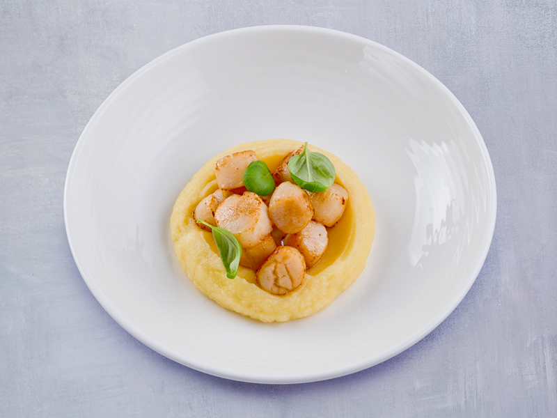 dish photo