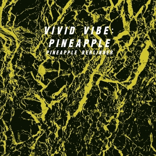 Vivid Vibe: Pineapple 5.3%